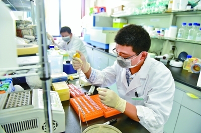 透過三大“熱詞”看未來醫(yī)療的模樣 自然科學(xué)研究和試驗發(fā)展的視角