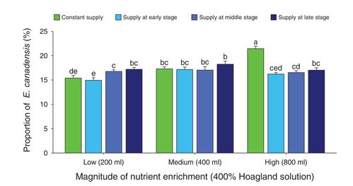 揭示資源脈沖對植物入侵影響機制，武漢植物園研究獲新進展