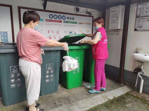 垃圾分類“十百千”行動 讓城市更文明，生活垃圾經營服務再升級