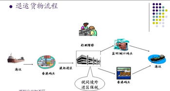 深圳坪山保稅區(qū)保稅倉庫出租與信息處理存儲支持服務(wù)詳解