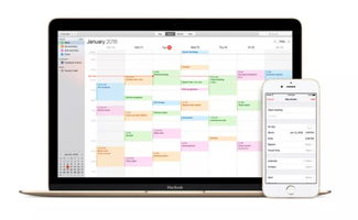 iCloud網(wǎng)頁版反垃圾功能上線 信息處理新里程，治標更需治本